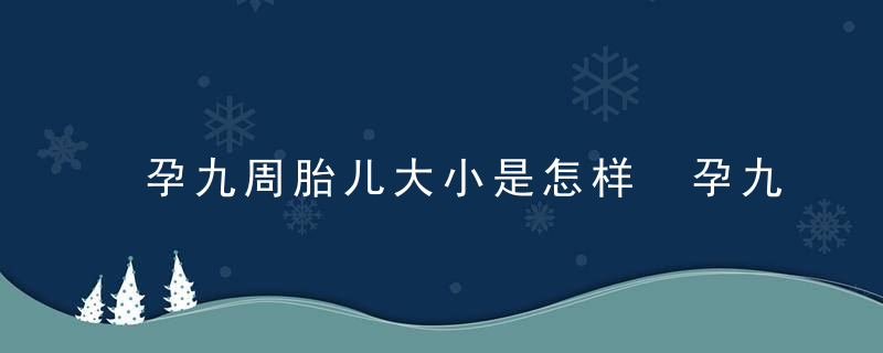 孕九周胎儿大小是怎样 孕九周胎儿多大了